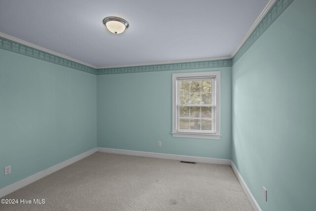 empty room with carpet flooring and crown molding