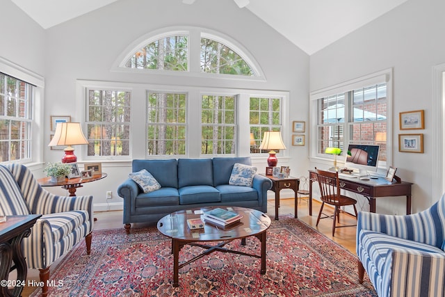 living room featuring hardwood / wood-style flooring and high vaulted ceiling