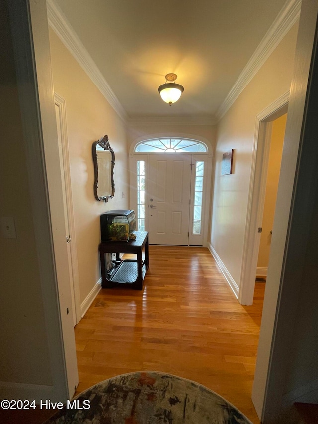 foyer featuring light hardwood / wood-style flooring and crown molding