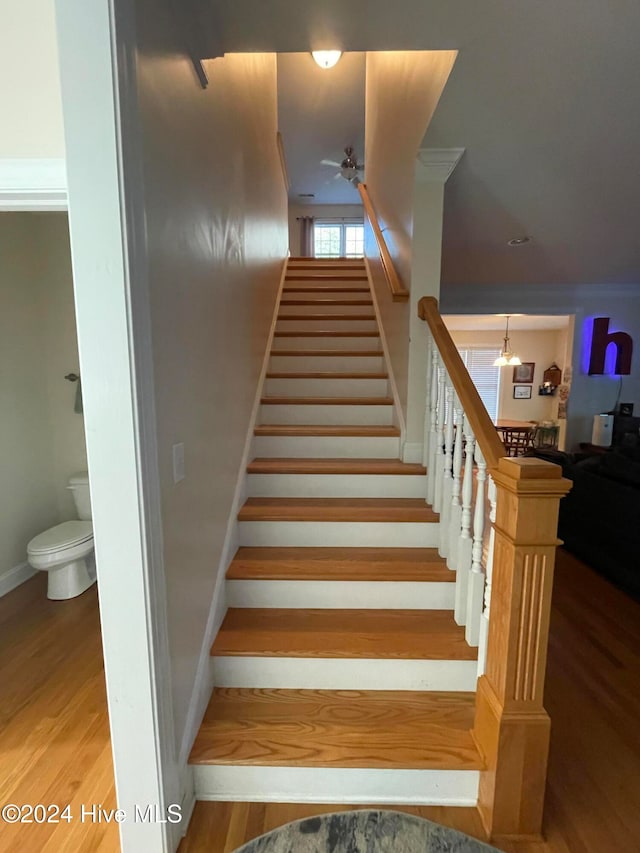 staircase with ceiling fan and wood-type flooring