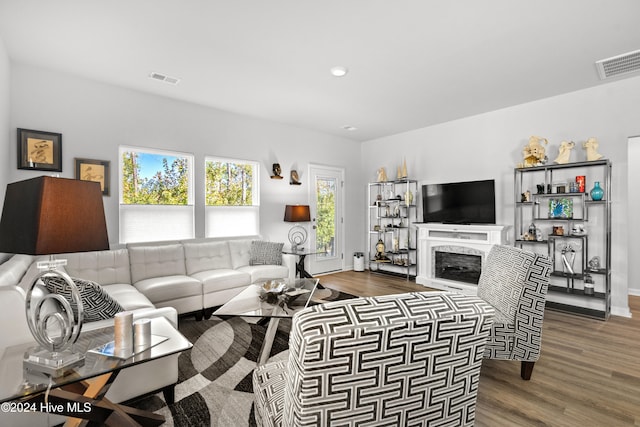 living room featuring a premium fireplace and hardwood / wood-style floors