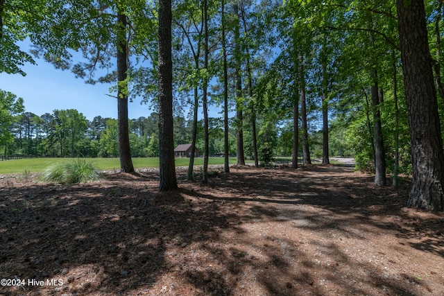 view of local wilderness