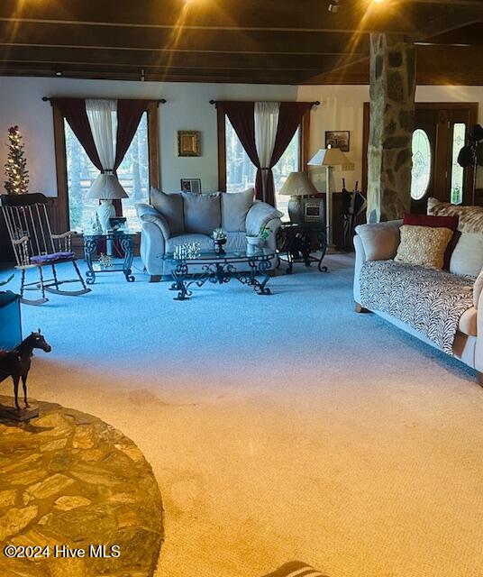 carpeted living room with a healthy amount of sunlight