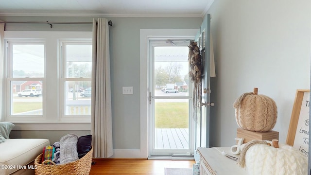 entryway with hardwood / wood-style floors and a healthy amount of sunlight