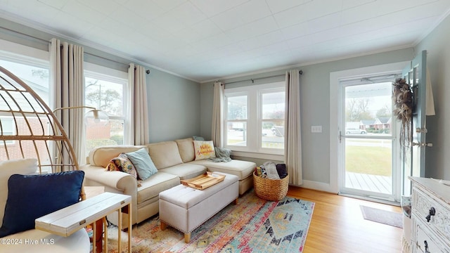 living room with light wood-type flooring and crown molding