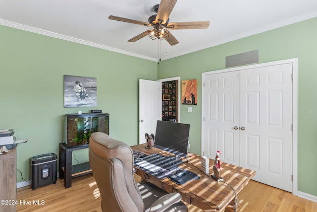 office area featuring ceiling fan, light hardwood / wood-style flooring, and ornamental molding