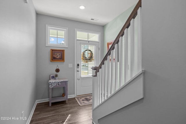 entrance foyer with dark wood-type flooring