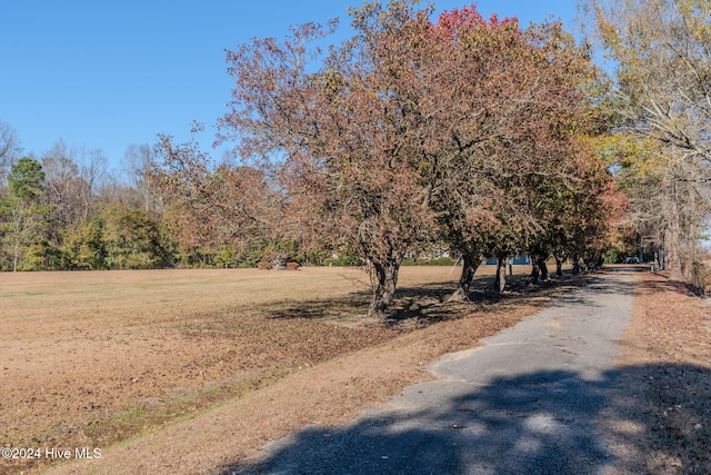 view of road with a rural view