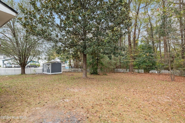 view of yard with a shed