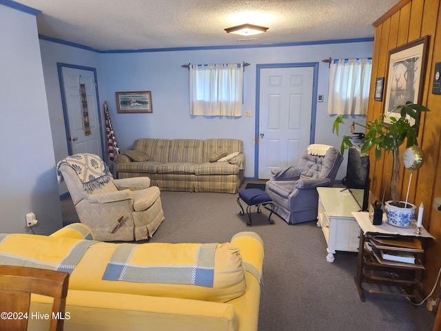 carpeted living room featuring crown molding and a textured ceiling