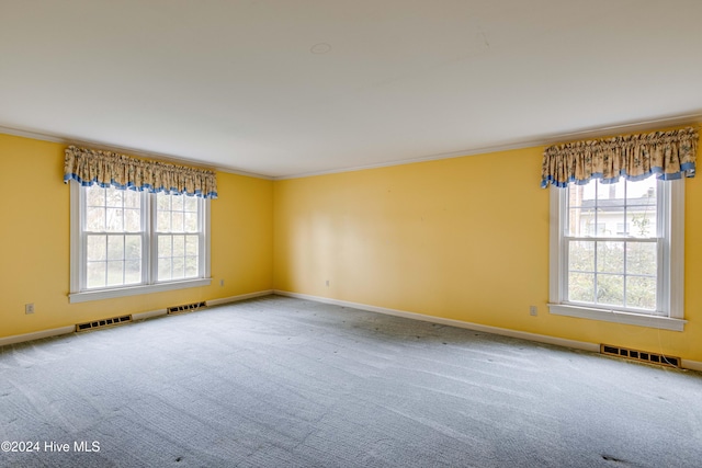 empty room featuring plenty of natural light, ornamental molding, and carpet floors