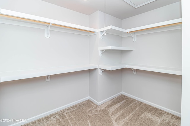 spacious closet with carpet flooring