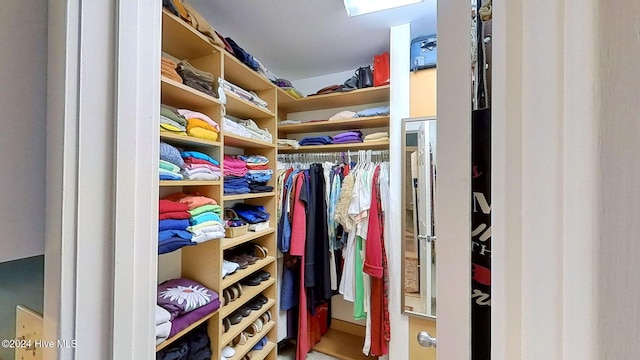 view of walk in closet