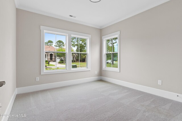 carpeted spare room featuring crown molding and a healthy amount of sunlight