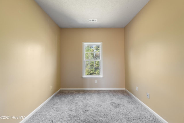 unfurnished room featuring carpet and a textured ceiling