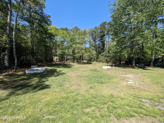 117 Longwood Dr, Stella, NC 28582 - view of green lawn
