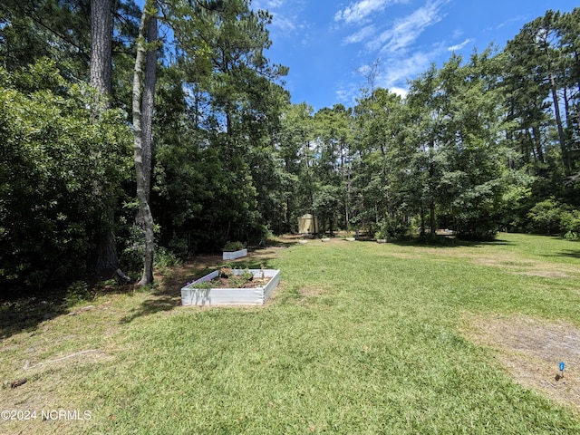 117 Longwood Dr, Stella, NC 28582 - view of grassy yard with a vegetable garden