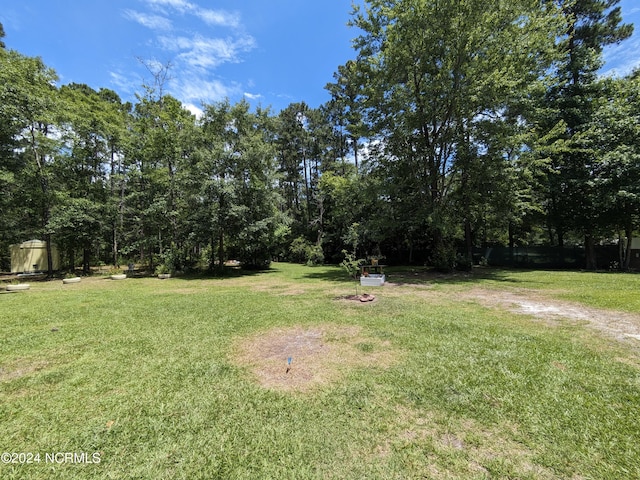 117 Longwood Dr, Stella, NC 28582 - view of grassy yard featuring a storage unit and an outbuilding