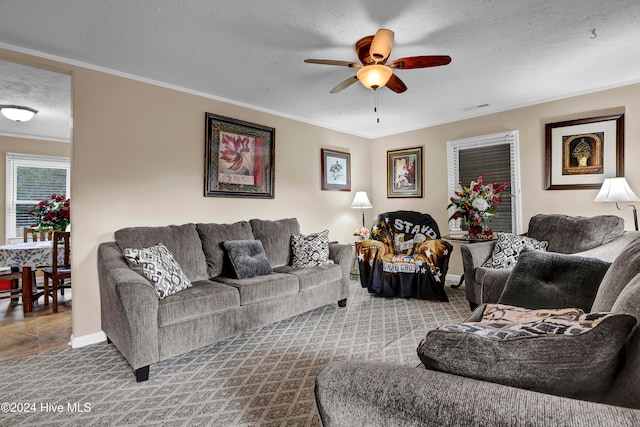 living room featuring ceiling fan, ornamental molding, and a textured ceiling