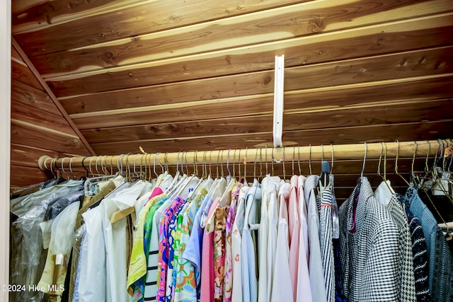 view of closet