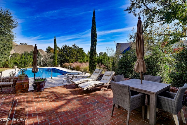 view of pool with a patio