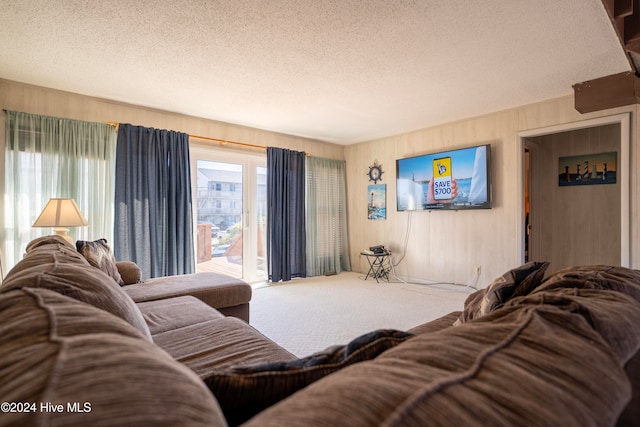 living room with carpet flooring and a textured ceiling