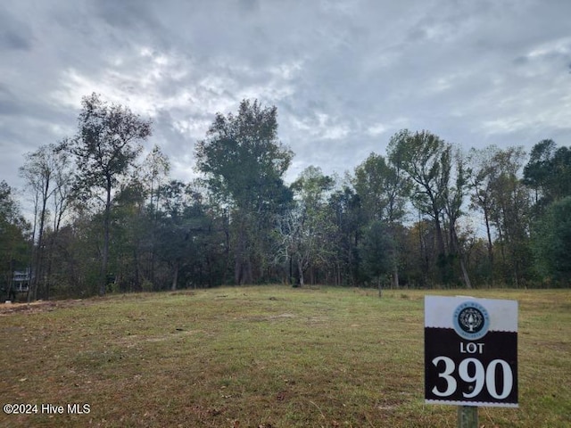 871 Chair Rd Unit 390, Castle Hayne NC, 28429 land for sale