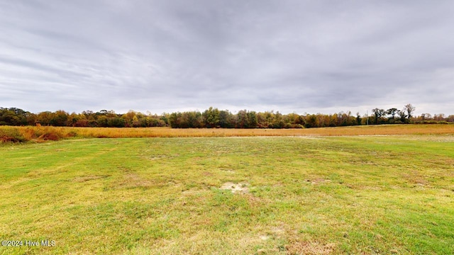 view of yard with a rural view