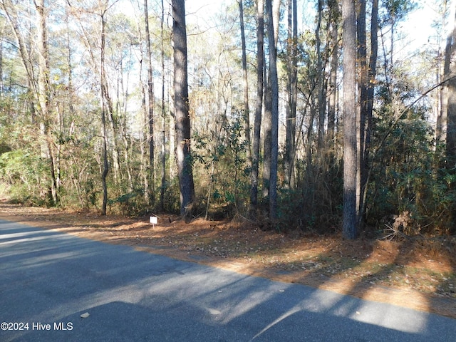 42 Fox Ln Unit 42, Wagram NC, 28396 land for sale