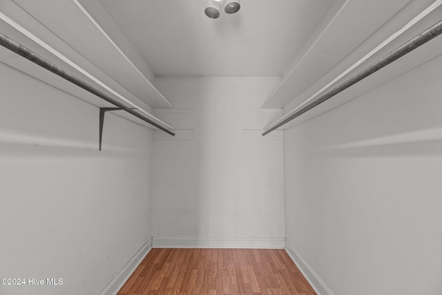 spacious closet with hardwood / wood-style floors