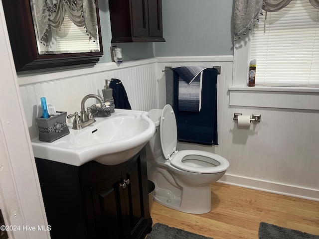 bathroom featuring vanity, toilet, and wood-type flooring