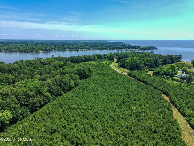 9 Peninsula Shores Way Unit 9, Hertford, NC 27944