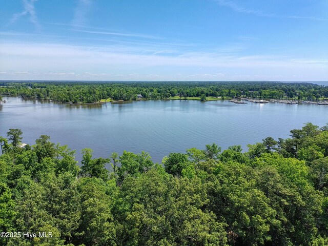9 Peninsula Shores Way Unit 9, Hertford, NC 27944