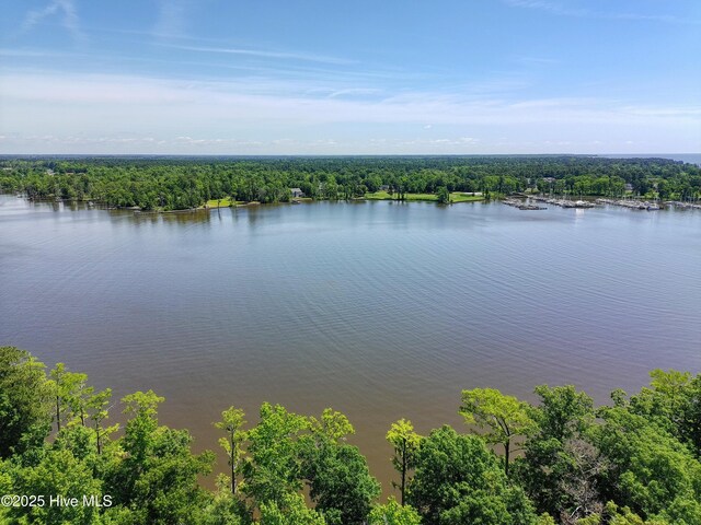 9 Peninsula Shores Way Unit 9, Hertford, NC 27944