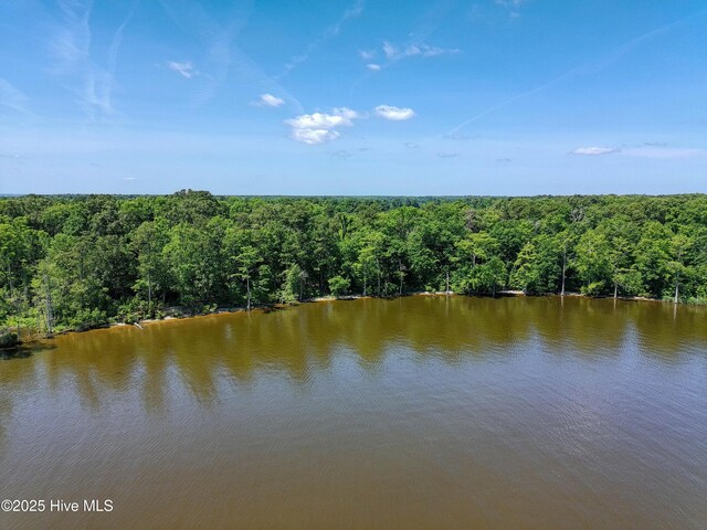 9 Peninsula Shores Way Unit 9, Hertford, NC 27944