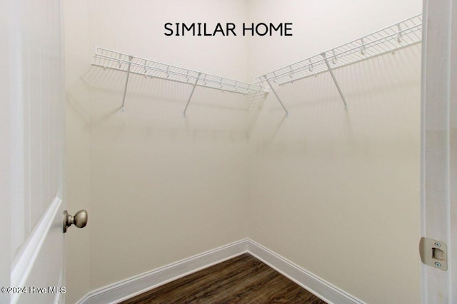 walk in closet featuring hardwood / wood-style floors