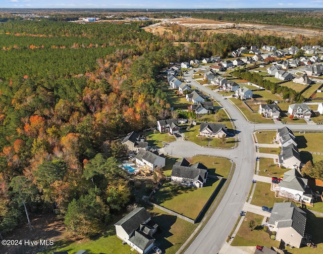 bird's eye view