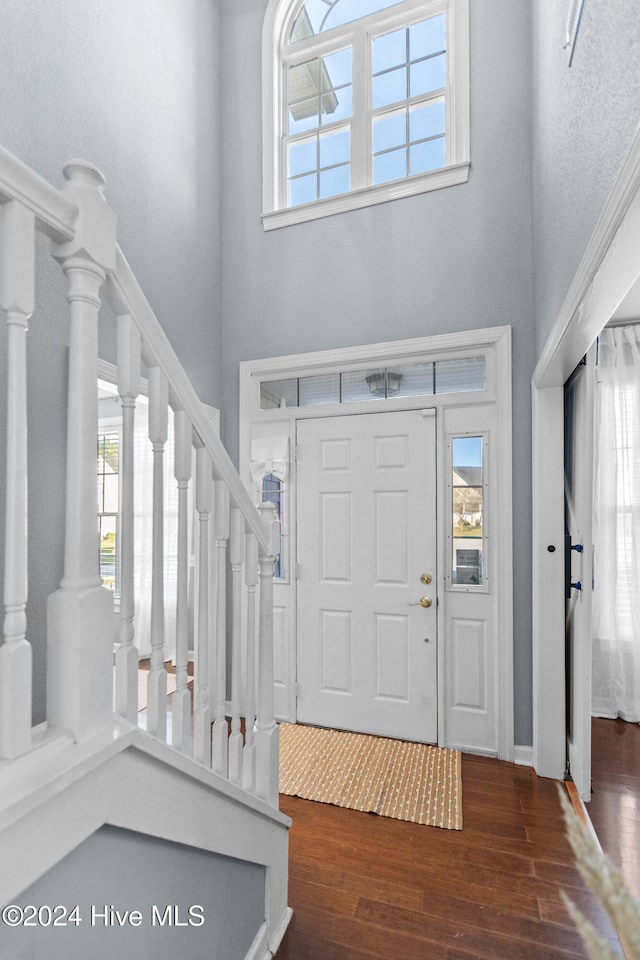 foyer entrance featuring a high ceiling and dark wood-type flooring