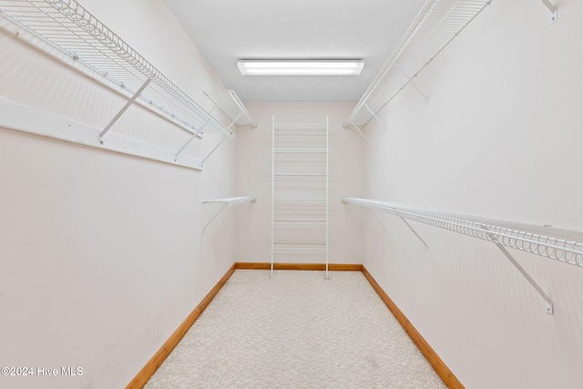 walk in closet with carpet floors