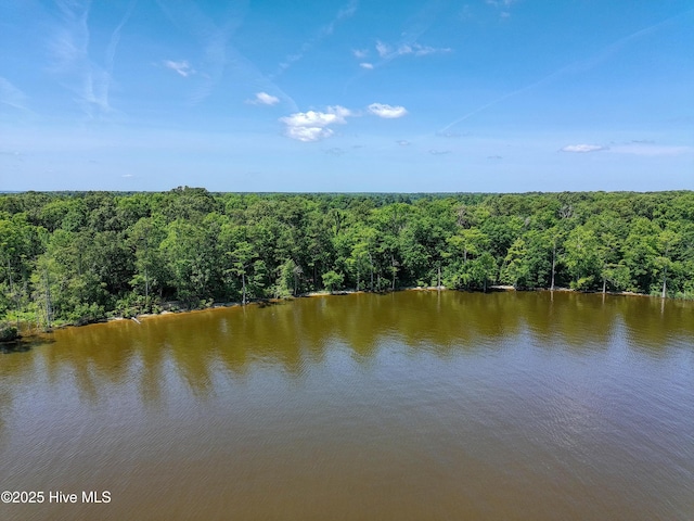 9,10,11 Peninsula Shores Way 9, 10 , 11, Hertford, NC 27944