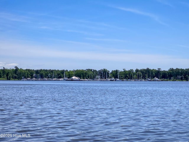 9,10,11 Peninsula Shores Way 9, 10 , 11, Hertford, NC 27944