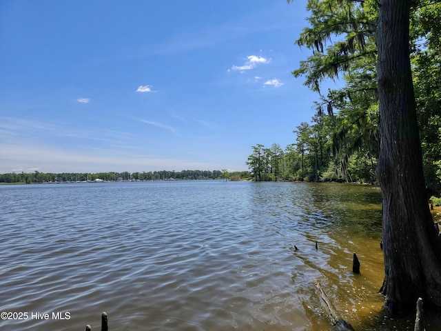 9,10,11 Peninsula Shores Way 9, 10 , 11, Hertford, NC 27944