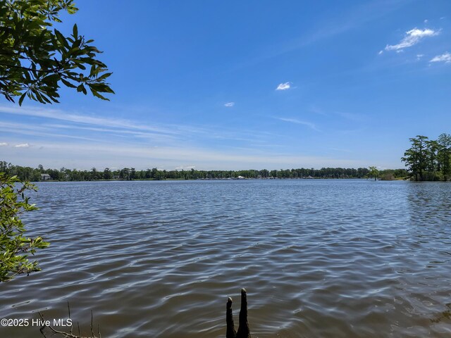 9,10,11 Peninsula Shores Way 9, 10 , 11, Hertford, NC 27944