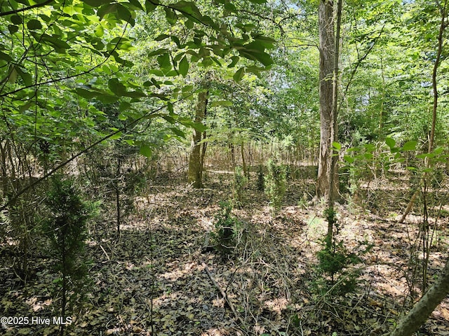 9,10,11 Peninsula Shores Way 9, 10 , 11, Hertford, NC 27944