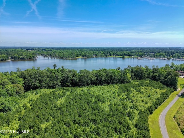 9,10,11 Peninsula Shores Way 9, 10 , 11, Hertford, NC 27944