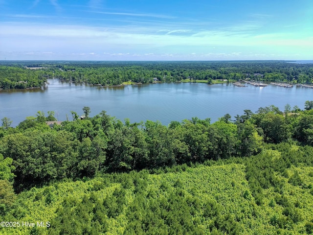 9,10,11 Peninsula Shores Way 9, 10 , 11, Hertford, NC 27944