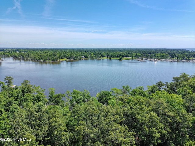 9,10,11 Peninsula Shores Way 9, 10 , 11, Hertford, NC 27944