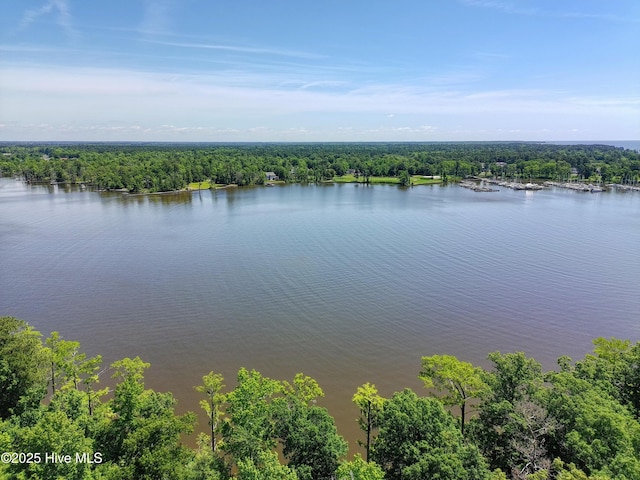 9,10,11 Peninsula Shores Way 9, 10 , 11, Hertford, NC 27944