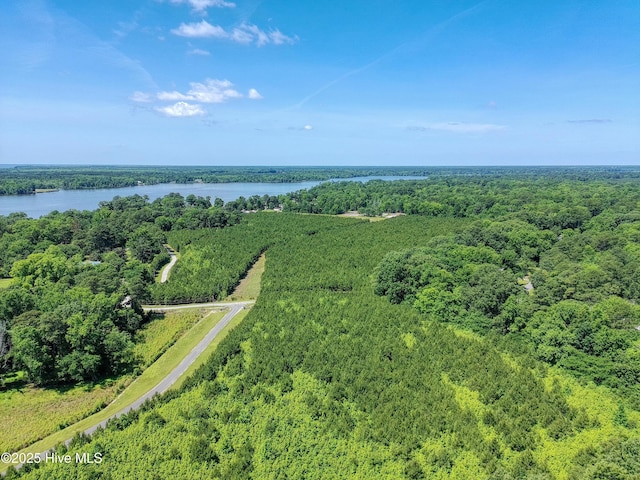 9,10,11 Peninsula Shores Way 9, 10 , 11, Hertford, NC 27944