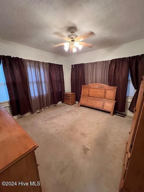 interior space with ceiling fan, a textured ceiling, and light carpet